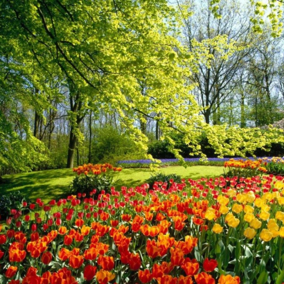 Concert de Printemps