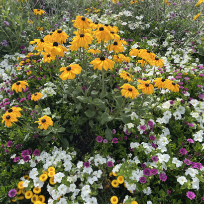 Concert Parcs et Jardins